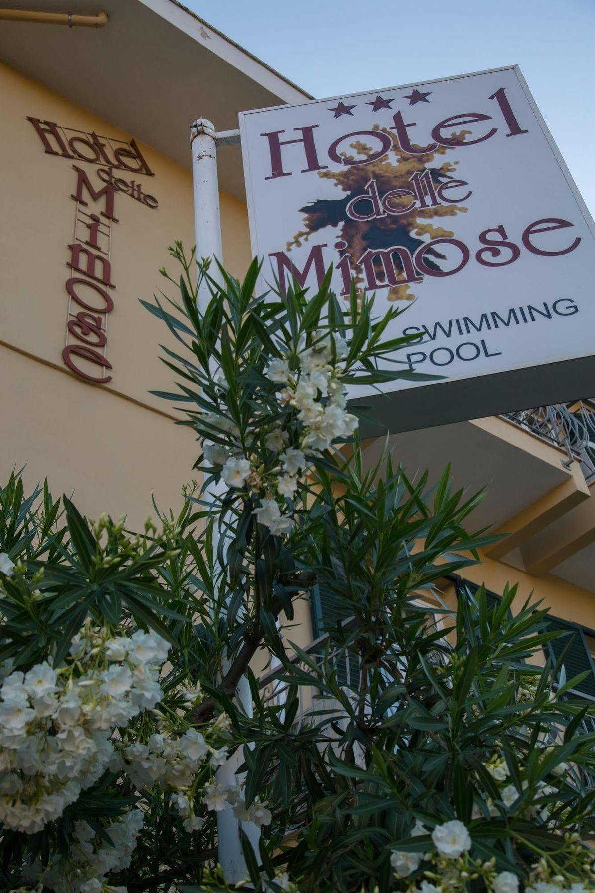 Hotel Delle Mimose Diano Marina Exterior photo